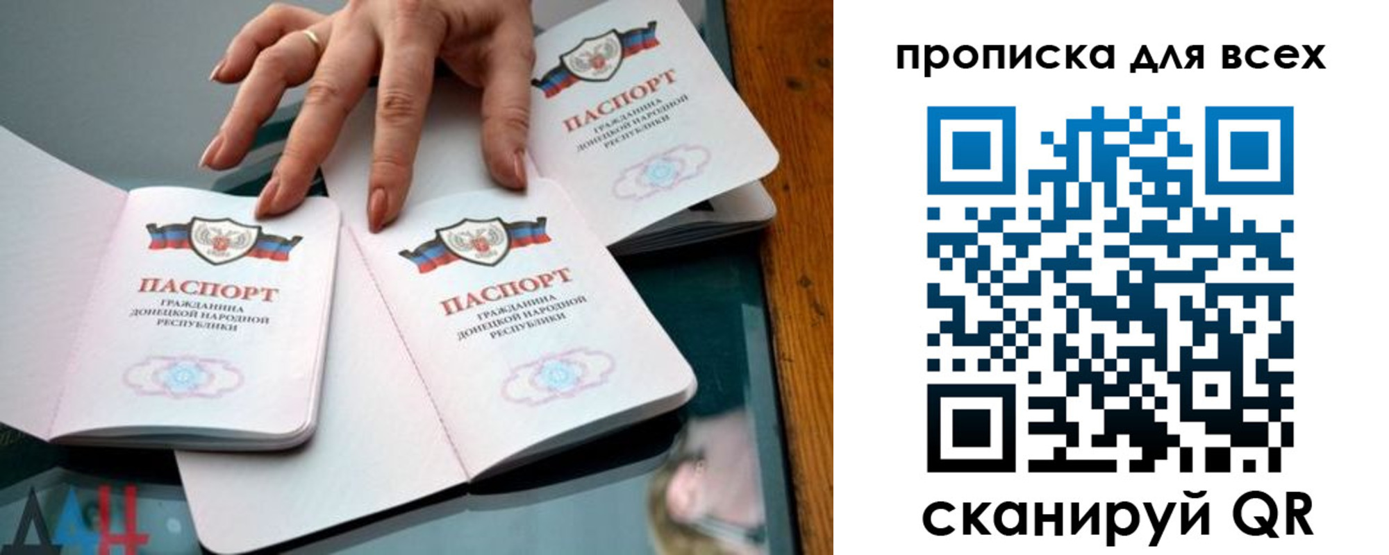 прописка гарантия в Мариинском Посаде
